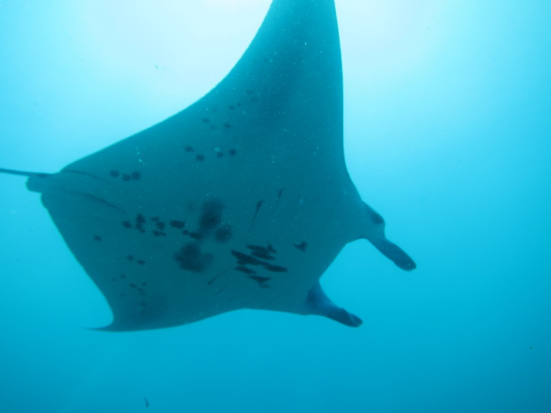 Maldives - April 2019