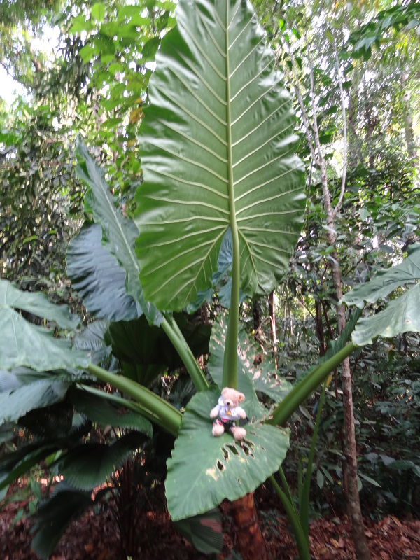 Singapore - May 2019